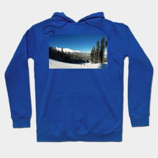 ski slope Hoodie